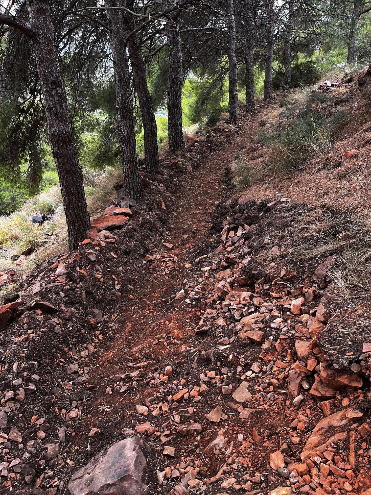 Las imágenes de la pista ilegal abierta en la Vilavella para practicar BTT