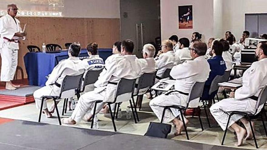 Més de  50 professors van ser al seminari de judo