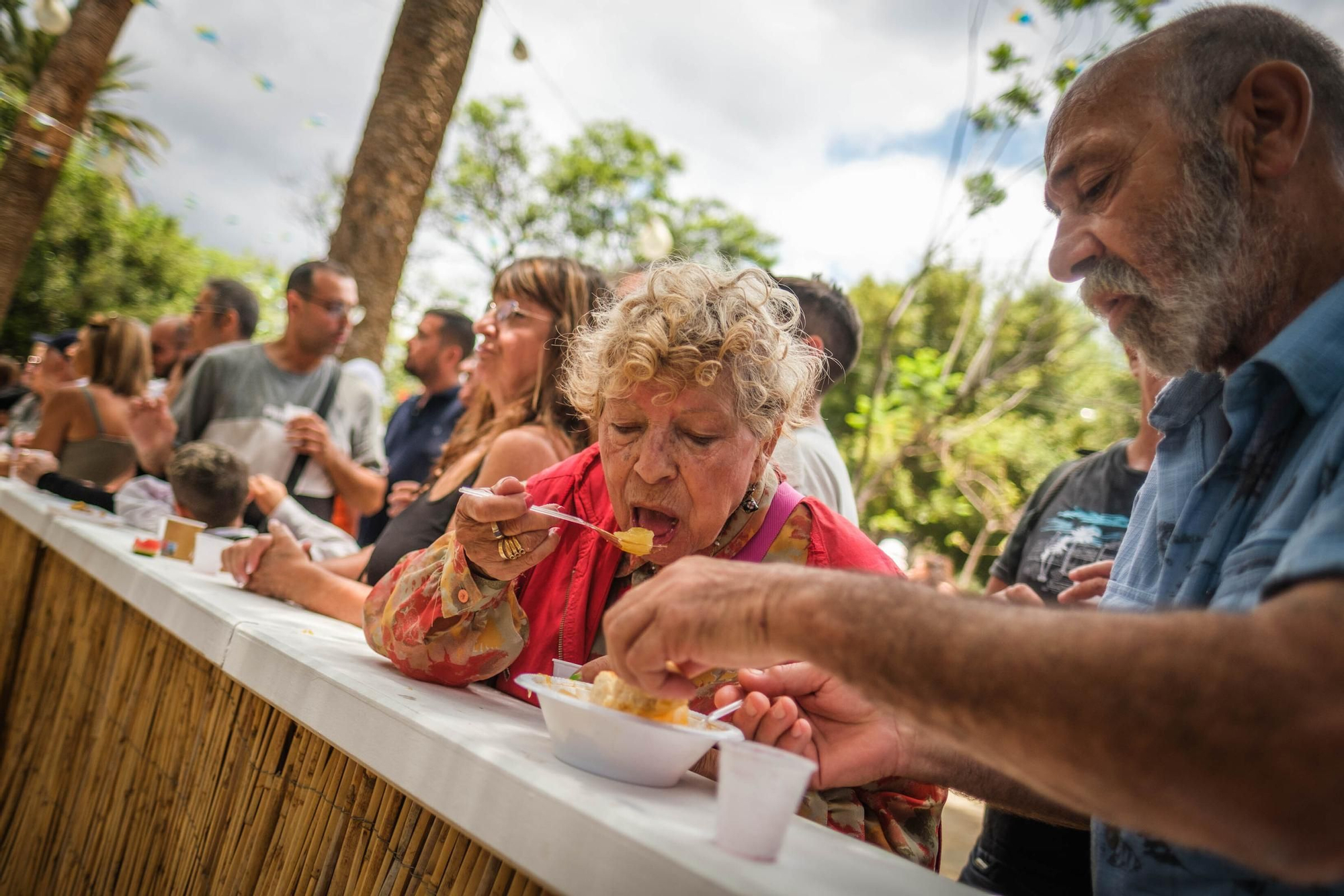 Santa Cruz celebra el Día de Canarias