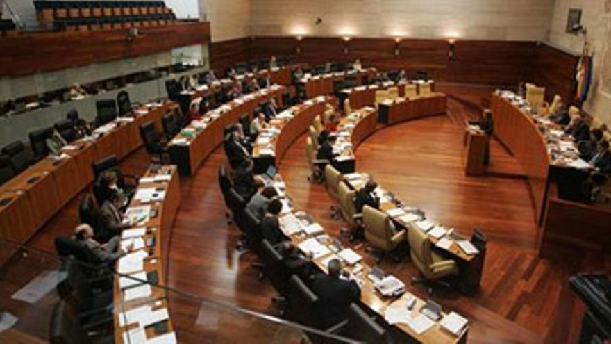 La Asamblea admite a trámite por primera vez una iniciativa legislativa popular