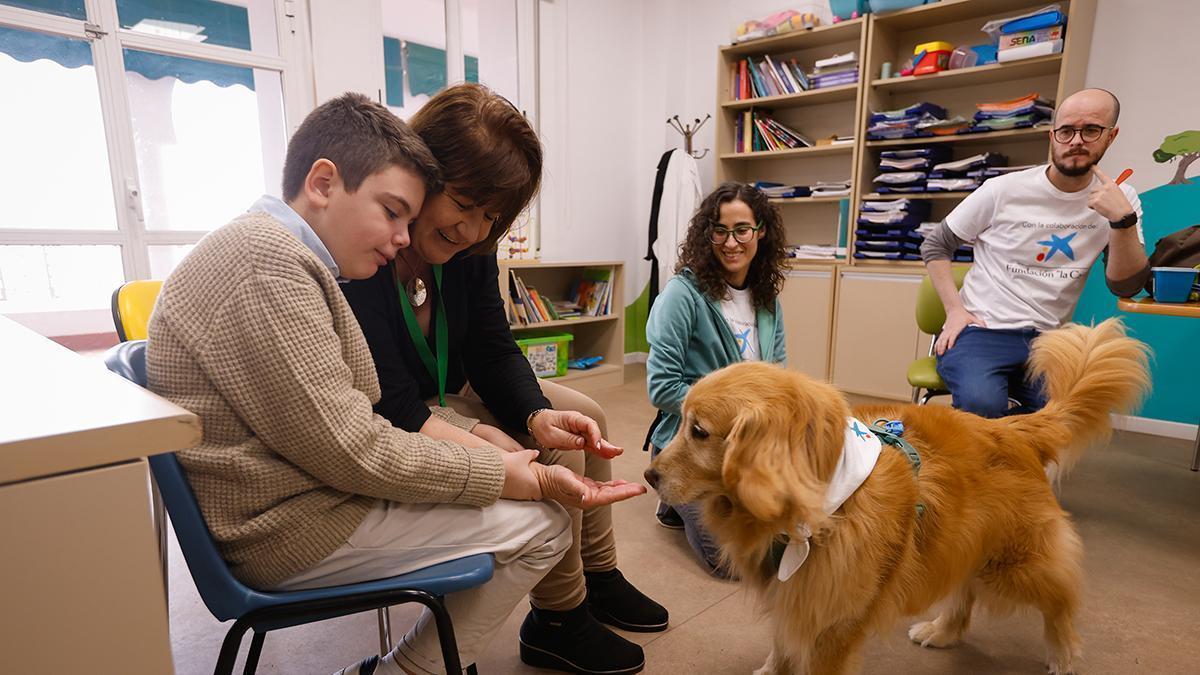 Terapia pionera en Córdoba para la fobia a los perros