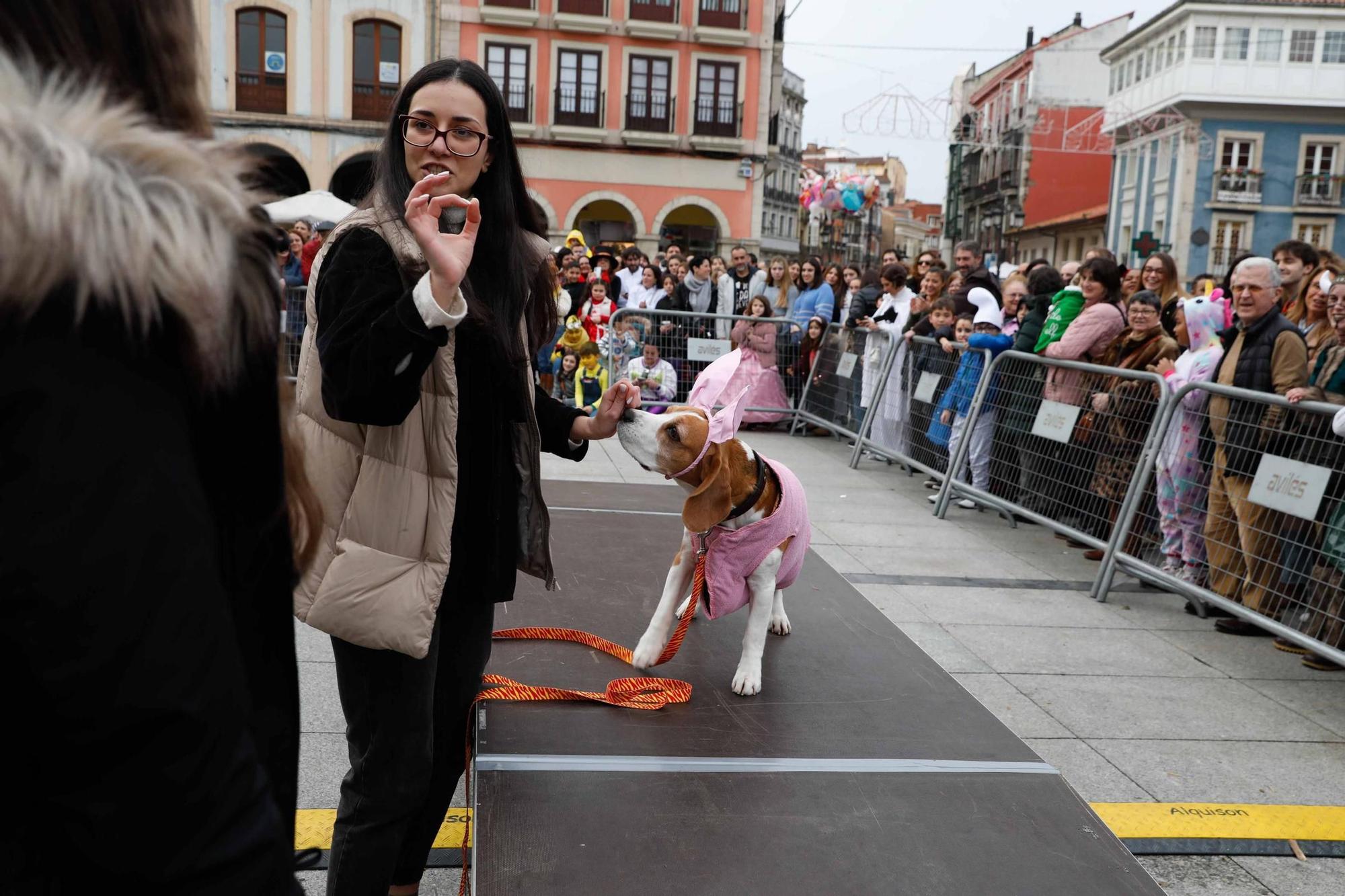 Las mascotas antroxaes desfilan ante su público