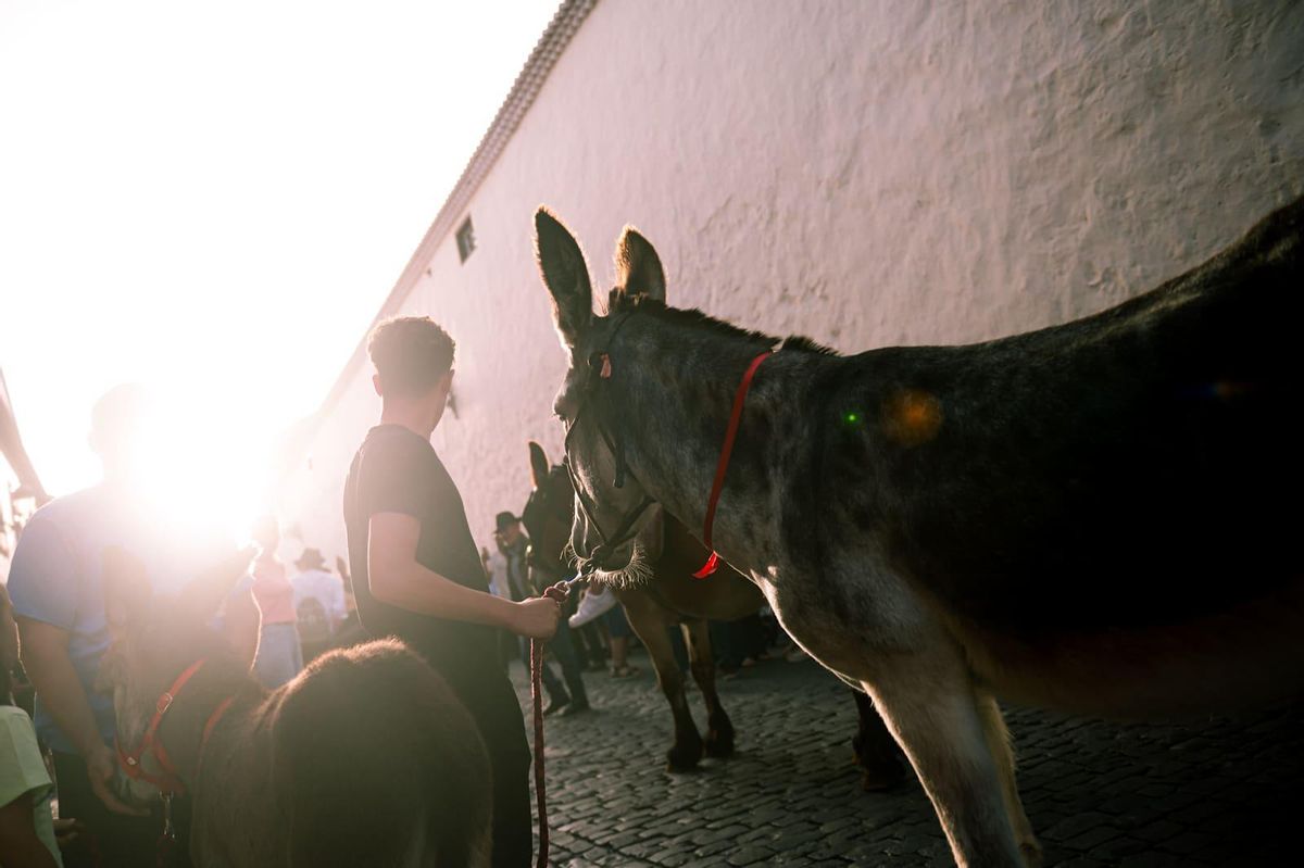 Noche de los Burros, en una edición anterior.