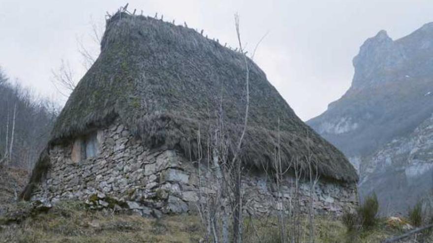 Una cabaña de teito en la braña de la Campa de Saliencia, en Somiedo. La cubierta de escoba de monte es la que más predomina en Asturias.
