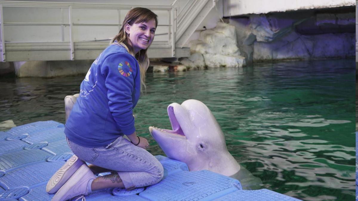 La doctora  Audra Ames, investigadora de l’Oceanogràfic, junto amb Yulka, beluga de  l’Oceanogràfic de València.