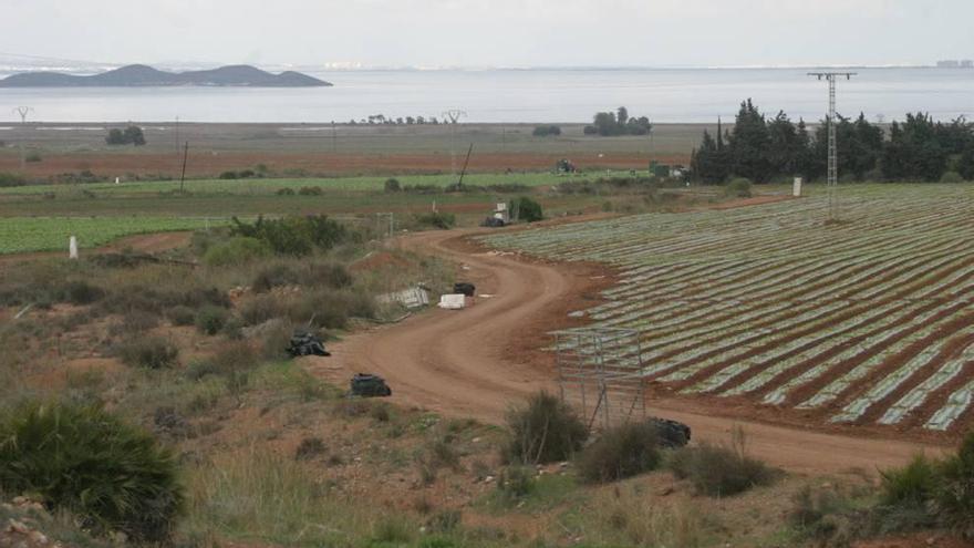 Los terrenos contaminados de Novo Carthago &quot;no son nocivos, a no ser que te los comas&quot;