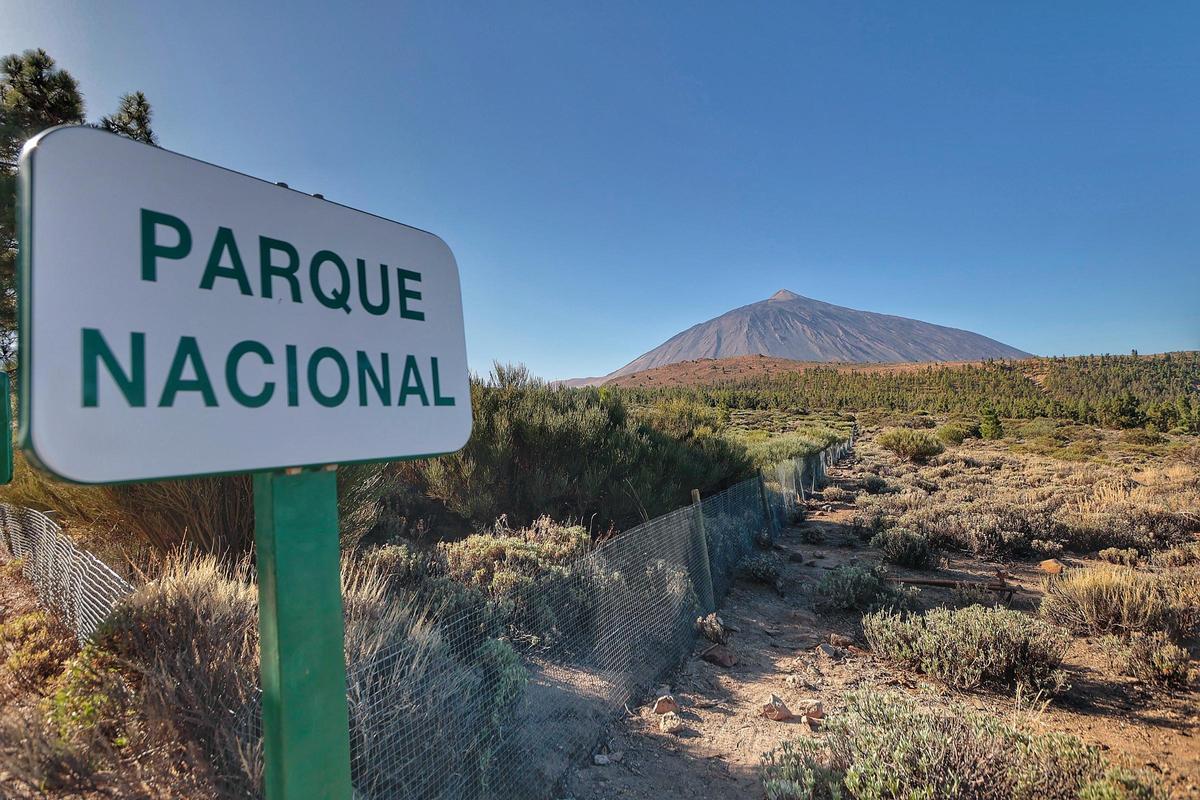 Parque Nacional de las Cañadas del Teide.