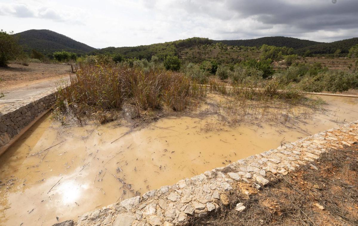 La balsa naturalizada, llena a rebosar tras las lluvias de la tormenta ‘Ex Gabrielle’. | V.MARÍ