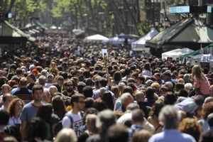 33640099 60-rosa-en-la-rambla