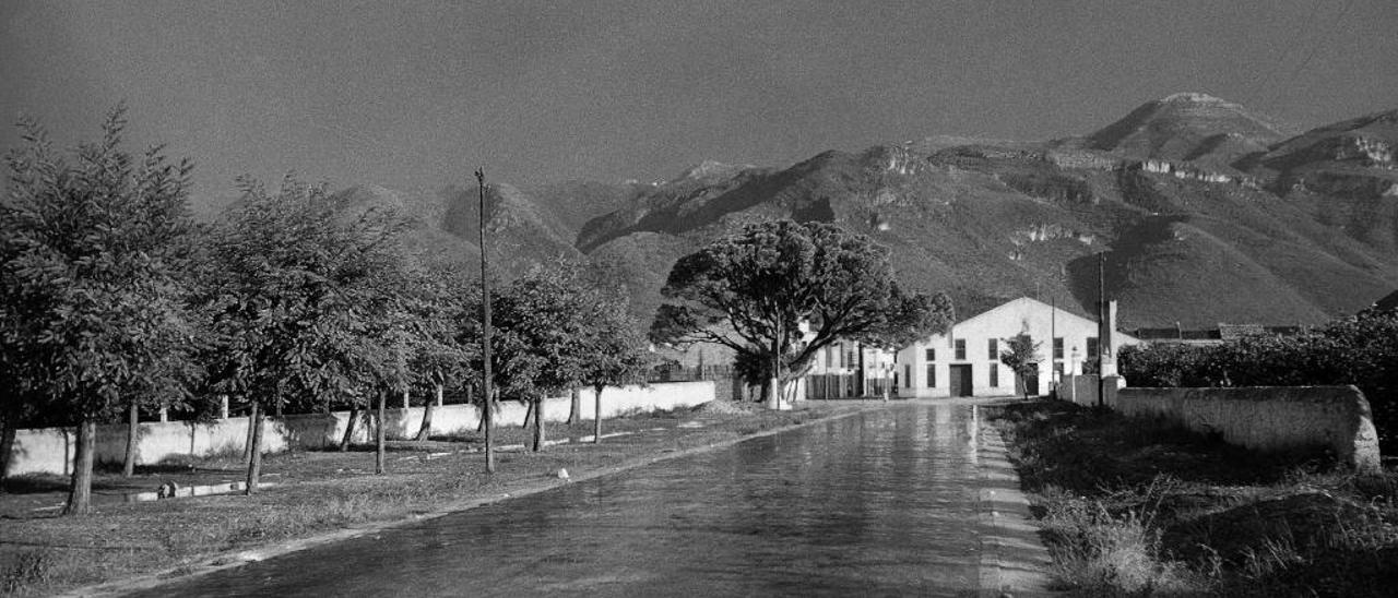 La Previsora, el primer banc de Benifairó (1893)