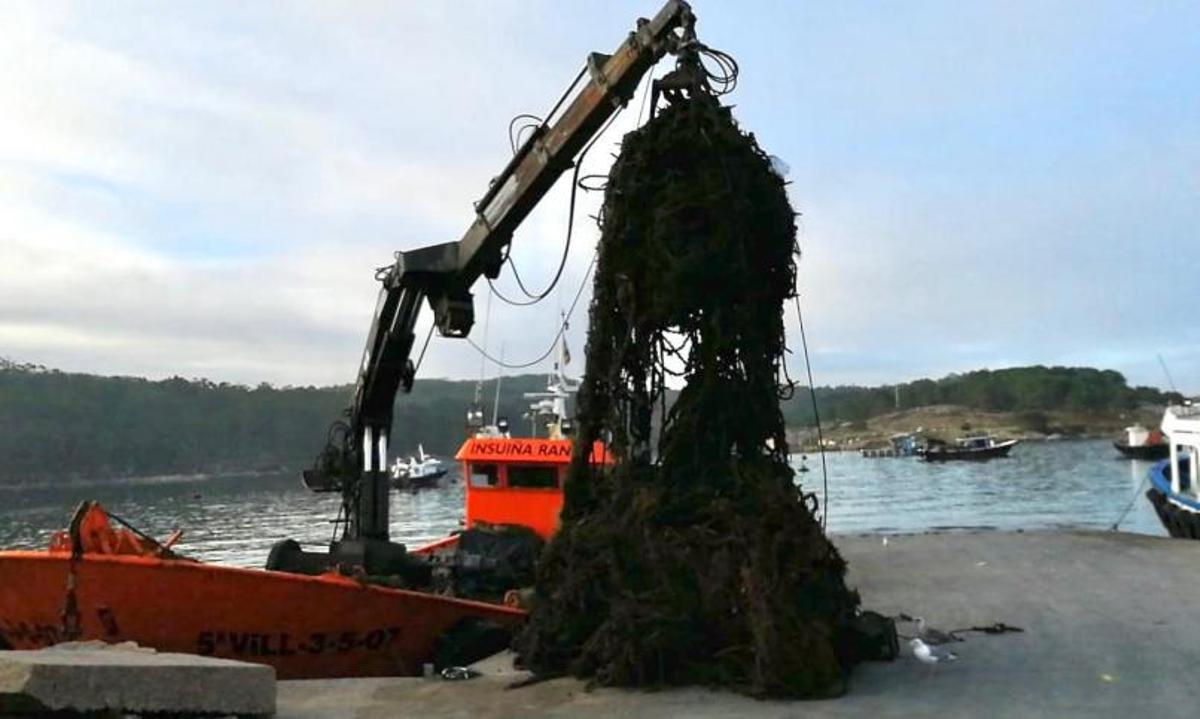 El remolcador “Insuíña Rande” colocando las primeras cuerdas del montón, en agosto de 2020. |   //  FDV