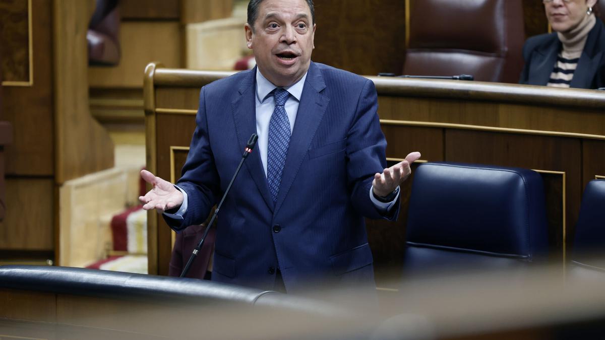 Luis Planas, interviene durante la última sesión de control del año en el Congreso.