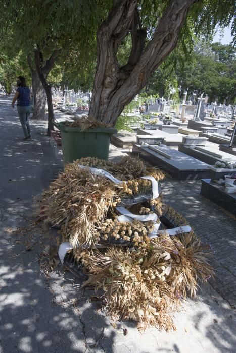 Visitantes critican la imagen actual del camposanto de la capital, que acumula falta de mantenimiento y de limpieza.