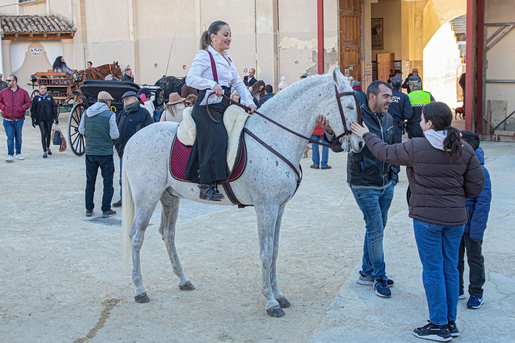 Concurso ecuestre y Bendición de animales por San Antón en Alicante