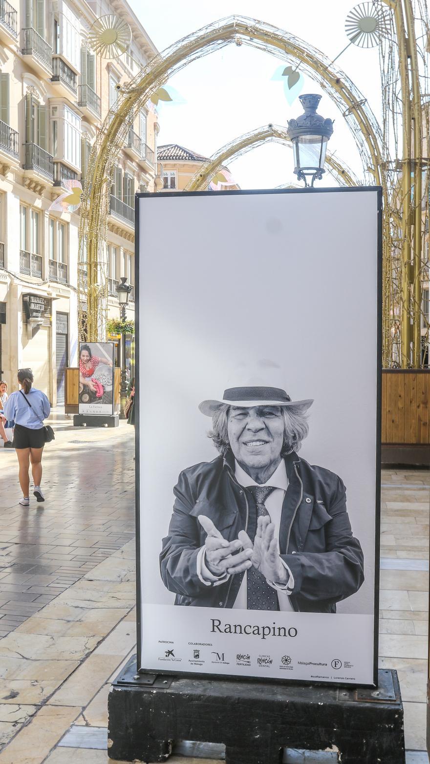 Fotos de la exposición 'Out Flamenco' de la calle Larios