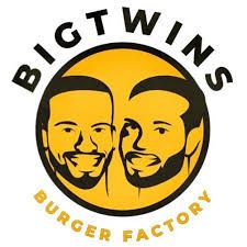 BIG TWINGS LOGO