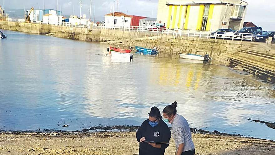 El mar arrastra los restos de un delfín hasta O Cantiño