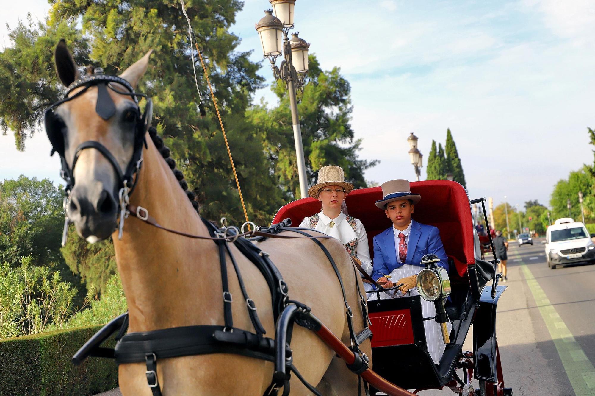 El carruaje reina en Córdoba