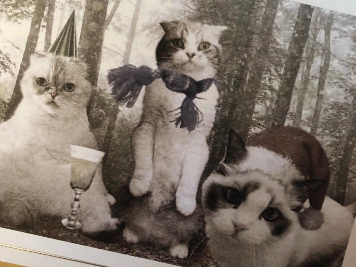 Las postal navideña de Taylor Swift