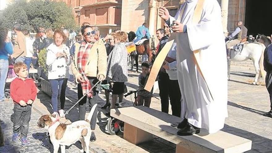 Alcalà mantiene la tradición pese a la falta de mayorales voluntarios