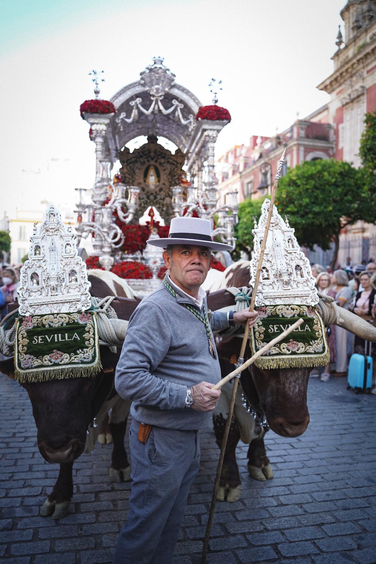 La salida de las hermandades del Rocío de Sevilla, en imágenes