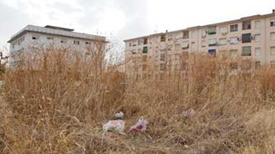 Cuatro barriadas urgen la limpieza de solares por temor a incendios de pastos