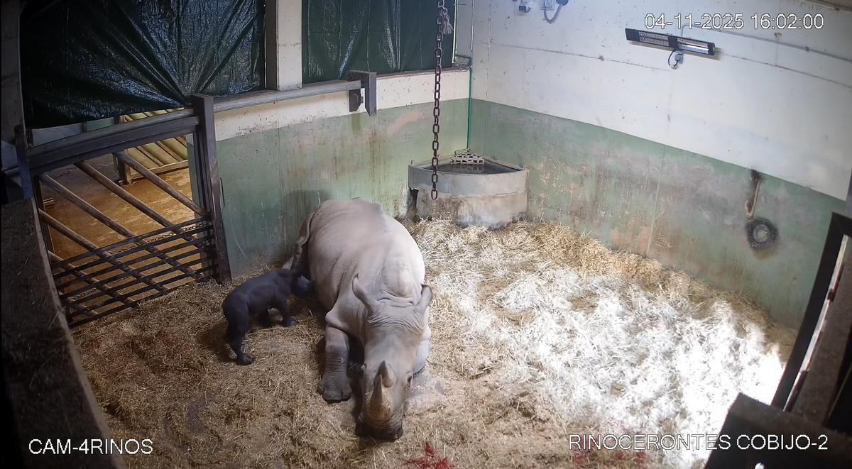 La madre y el hijo en las instalaciones de Bioparc Valencia.