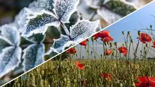 Invierno y primavera en un mismo día: espectacular salto térmico de 22 grados en un pueblo de Castellón