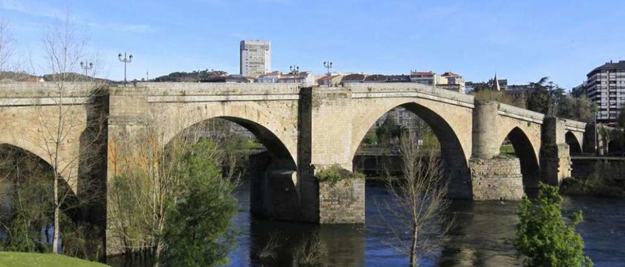 Vista panorámica del puente que permite ver la vegetación y musgo en su estructura. // Jesús Regal