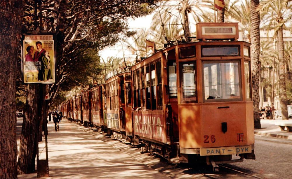 Hundert Jahre Tram auf Mallorca