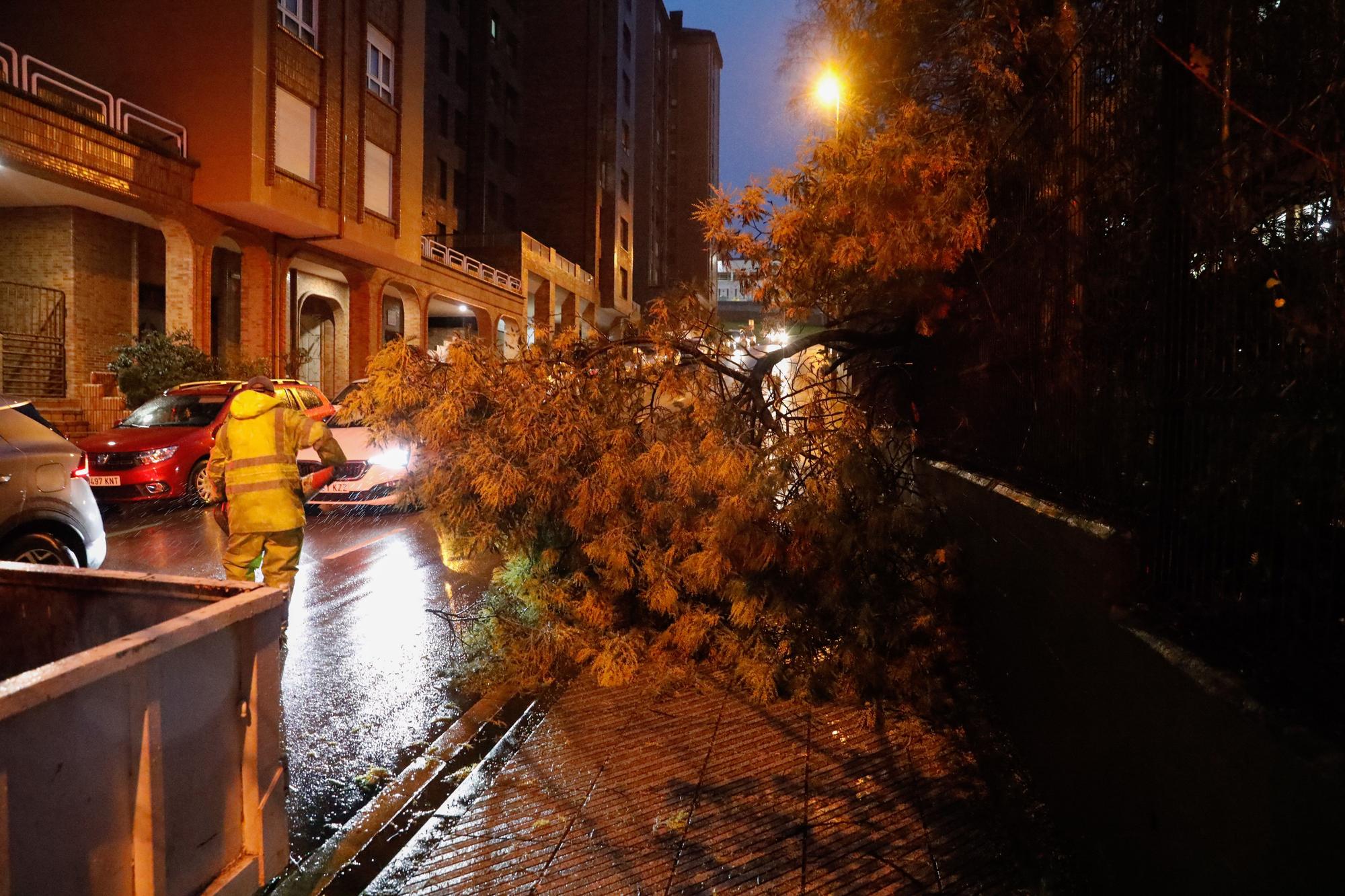 EN IMÁGENES: Así está siendo el temporal del lluvia, viento, oleaje y nieve que azota Asturias