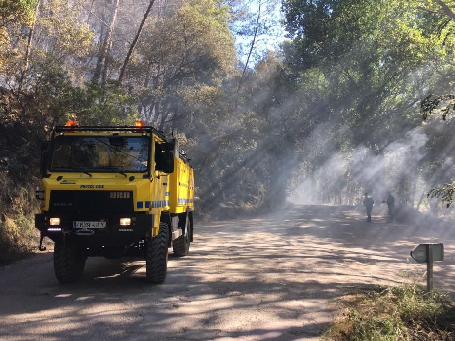 Waldbrand bei Puigpunyent