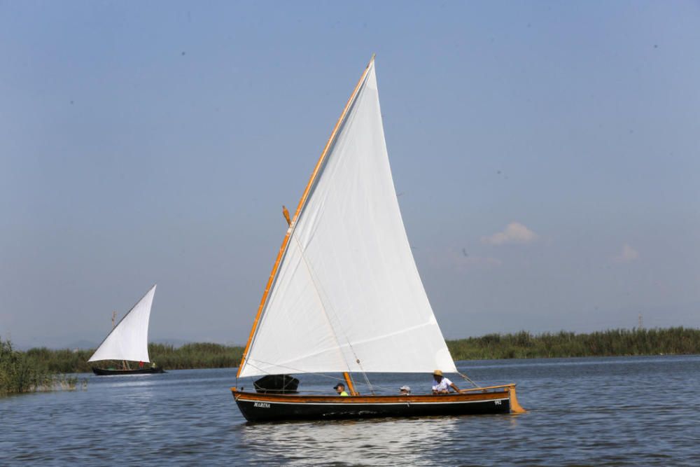 Regata-exhibición de vela latina en l'Albufera