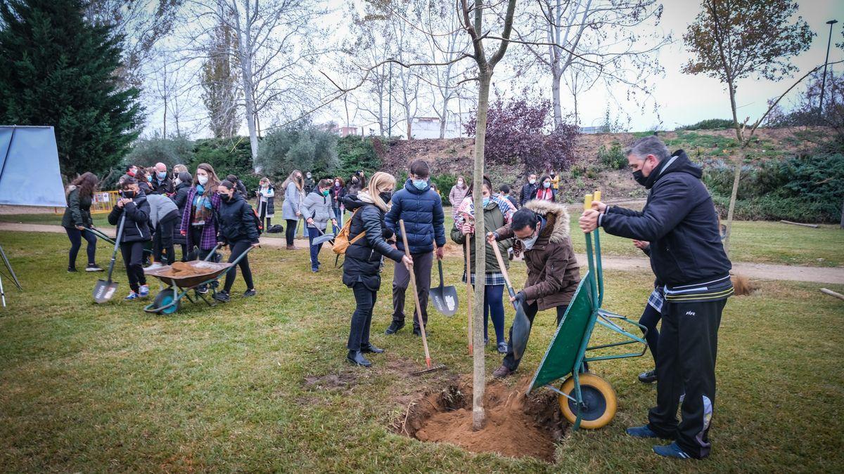 Alumnos, profesores y padres durante la plantación de árboles en el paseo de los arroyos, ayer.