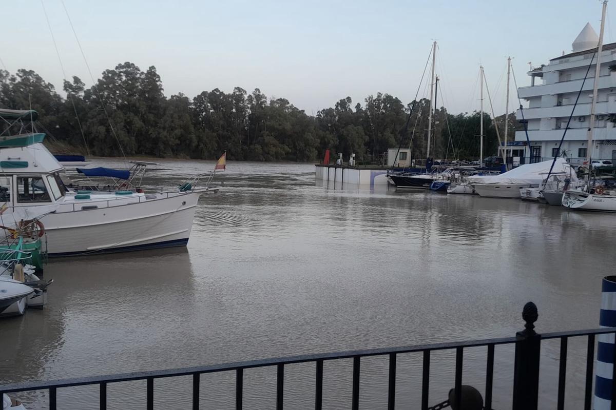 El puerto deportivo de Gelves (Sevilla) con una importante crecida del río Guadalquivir