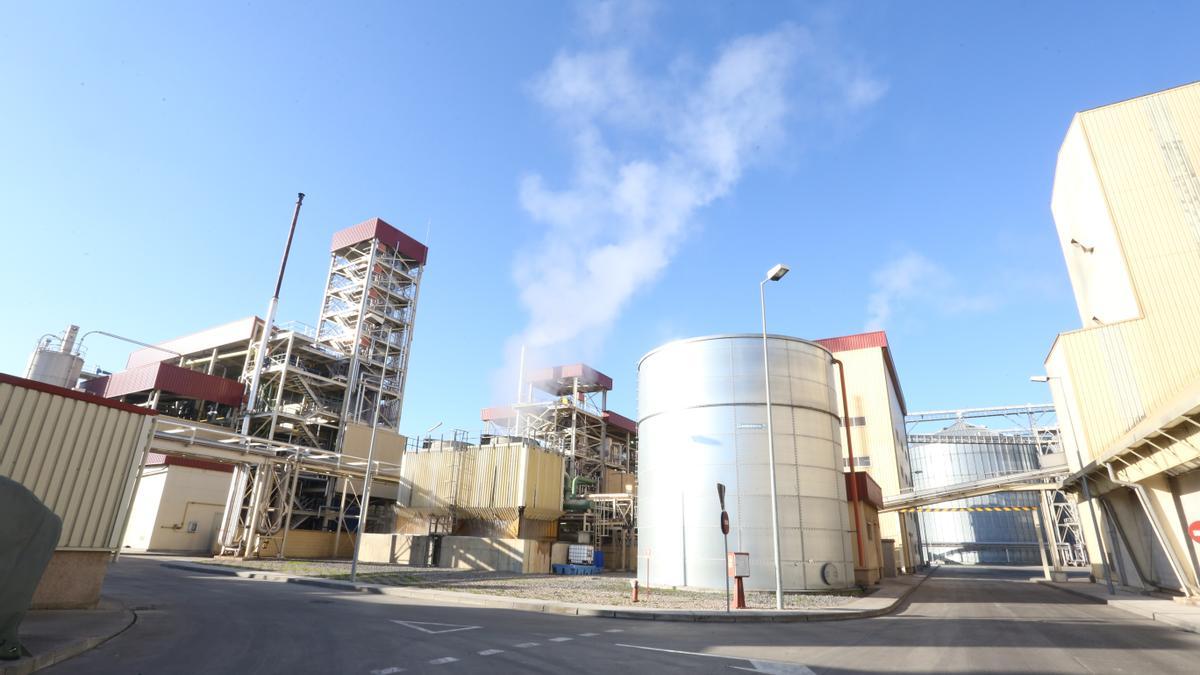 Fábrica de aceites y azucarera de Acor en Olmedo, Valladolid, donde ha tenido lugar el accidente laboral.