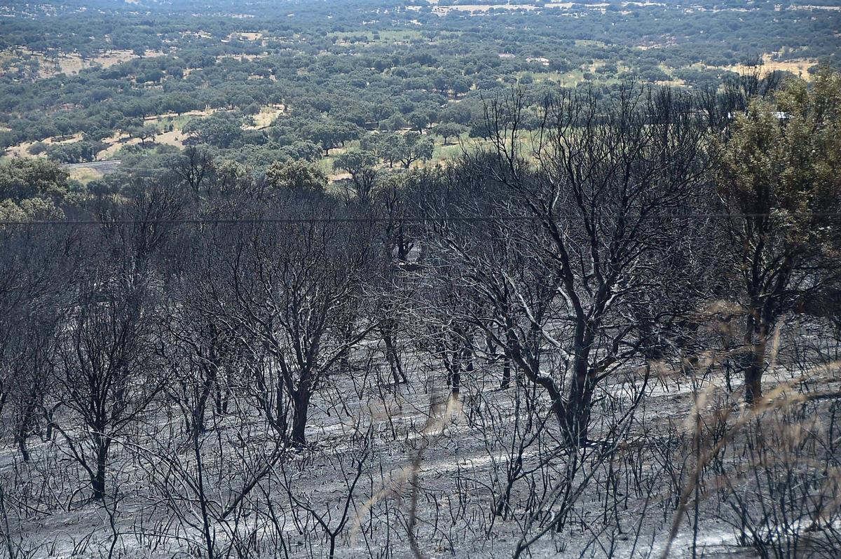 Fotogalería | Así ha quedado la zona de Casas de Millán tras el paso del incendio