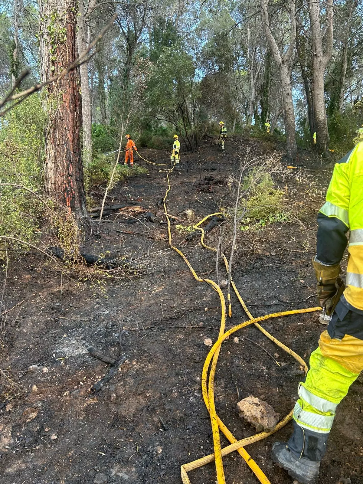 Controlado el incendio forestal de la Barraca tras quemar mil metros de pinada