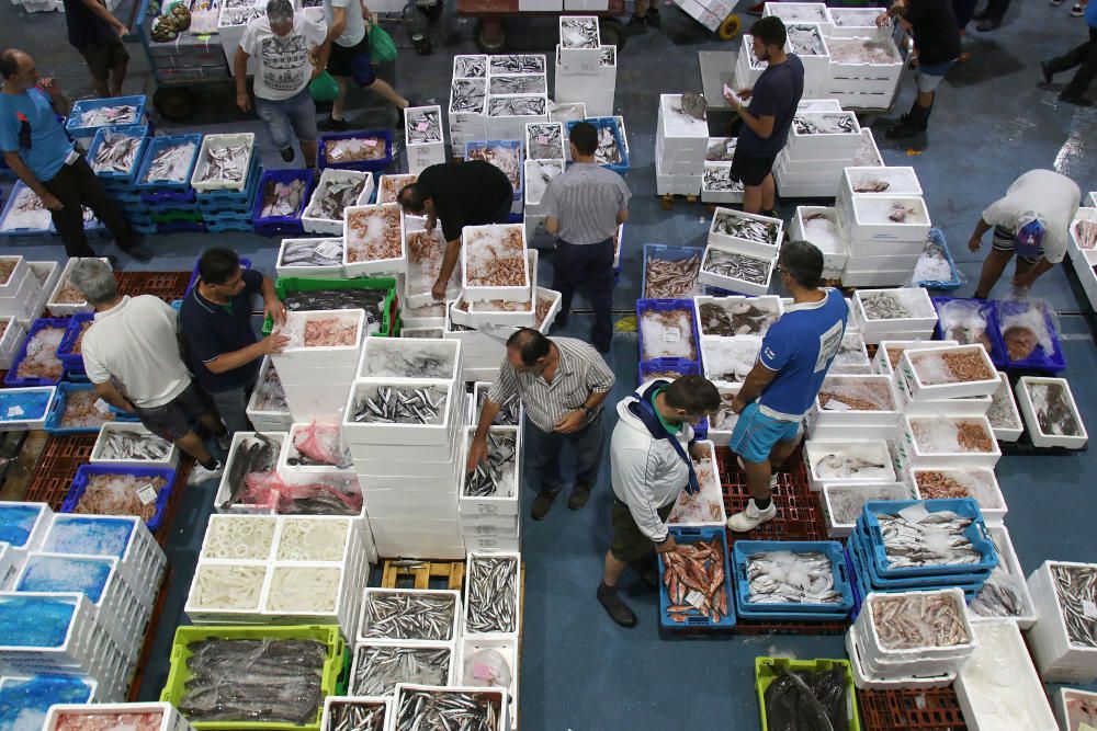 Así es un día de trabajo en la pescadería de Mercamálaga