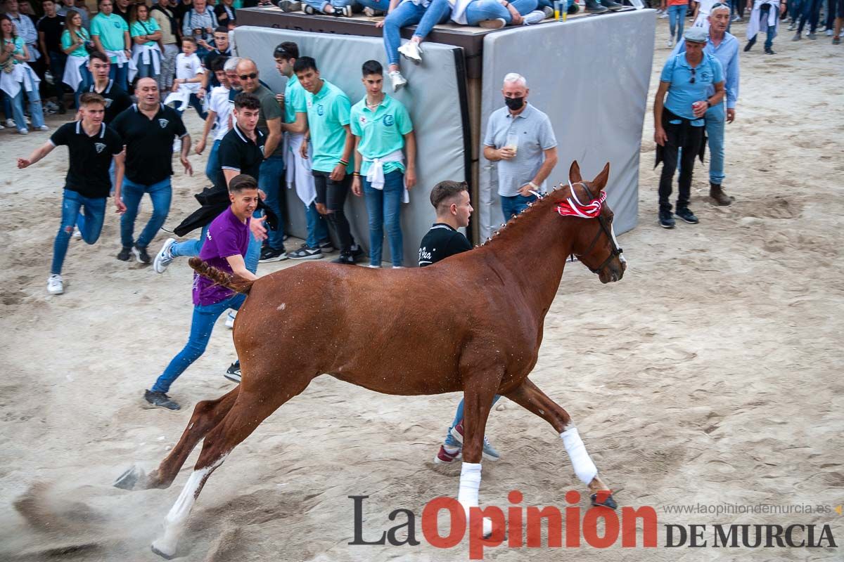 Entrada de Caballos al Hoyo en el día 1 de mayo