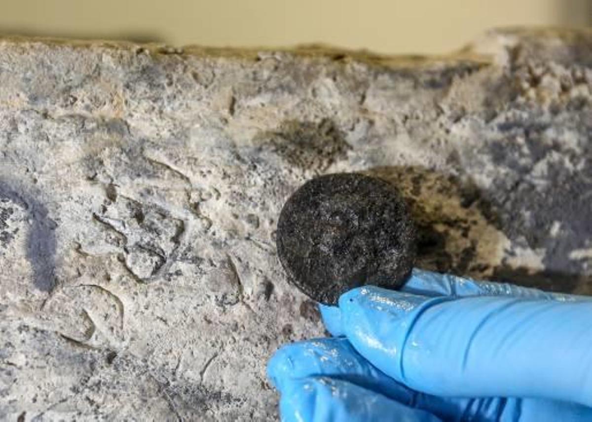 Emerge la historia del Bou Ferrer