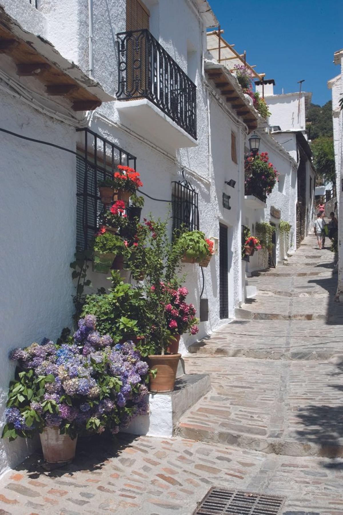 Escapadas Semana Santa 2015: Granada y sus flores