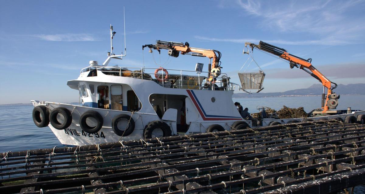Uno de los barcos de Barlovento al lado de una batea
