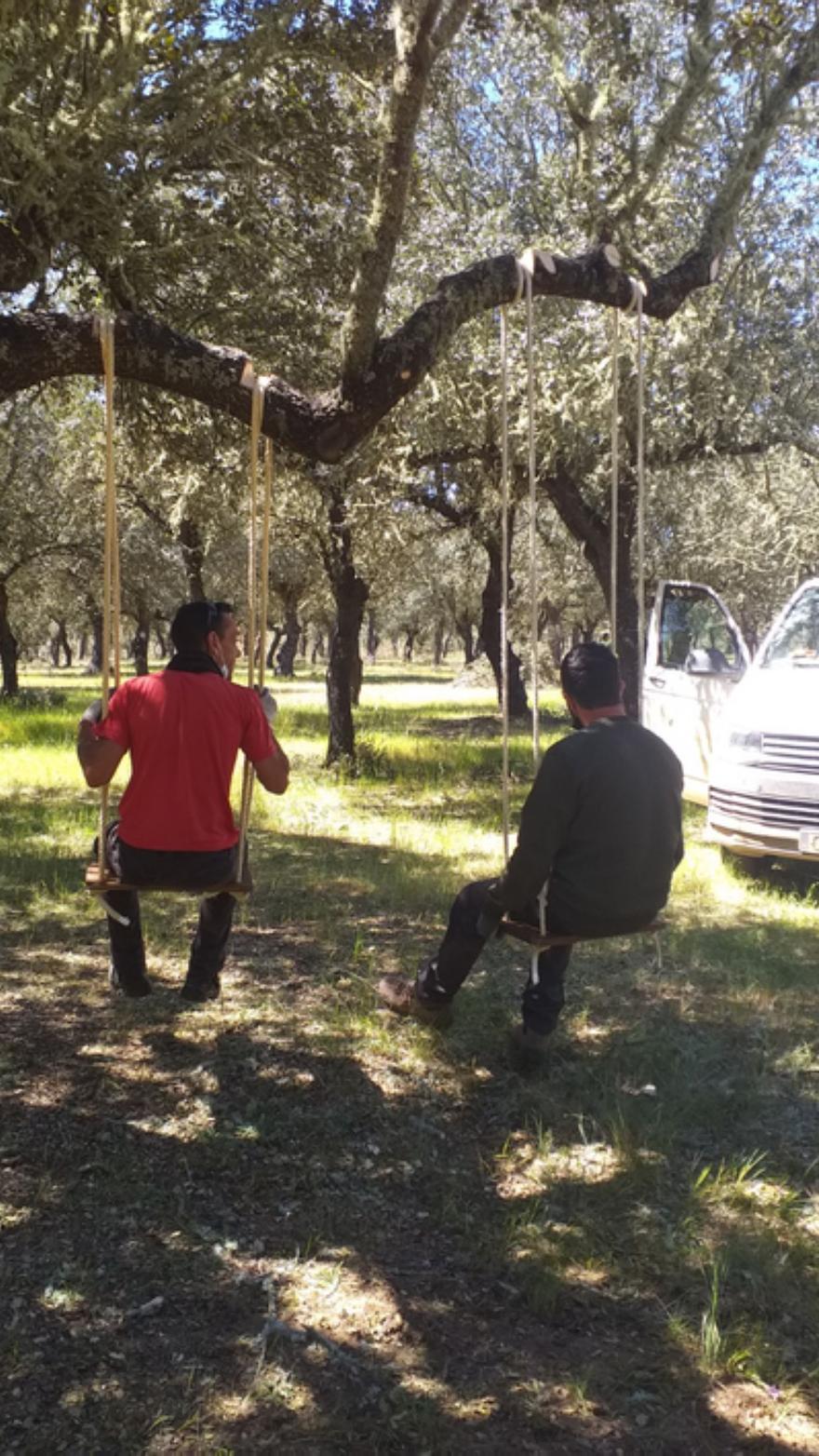 Catorce columpios se pueden disfrutar por las rutas de San Pedro. | E. P.