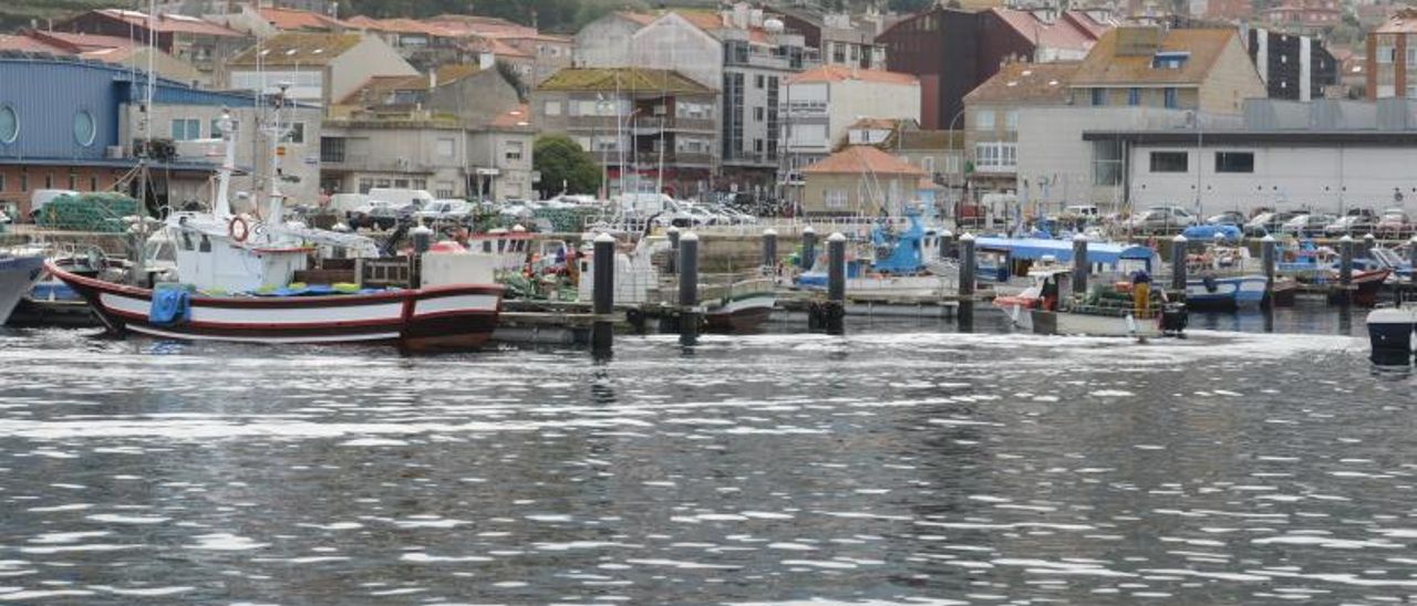 El entorno del puerto pesquero de Bueu, con los barcos amarrados en los pantalanes. | // GONZALO NÚÑEZ