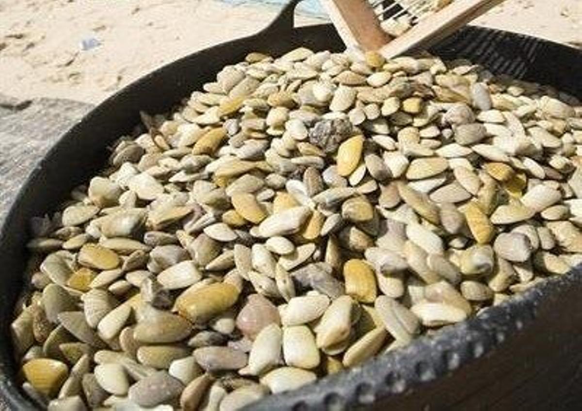 ESCOBEDO MARISCOS VIVOS. IV GALA PREMIOS DELANTAL 2022