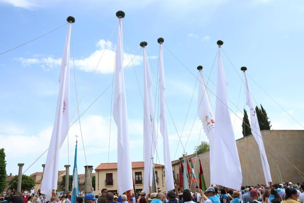 exhibición y desfile de pendones por las calles de Zamora