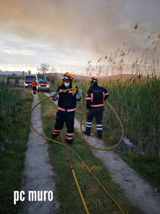 Nächtlicher Brand in S'Albufera schreckt Anwohner auf