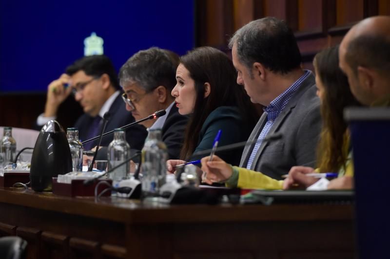 Pleno del Cabildo de Gran Canaria (29/11/19)