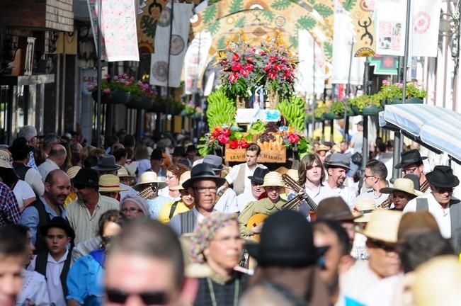 Romería de Santiago de Gáldar 2016